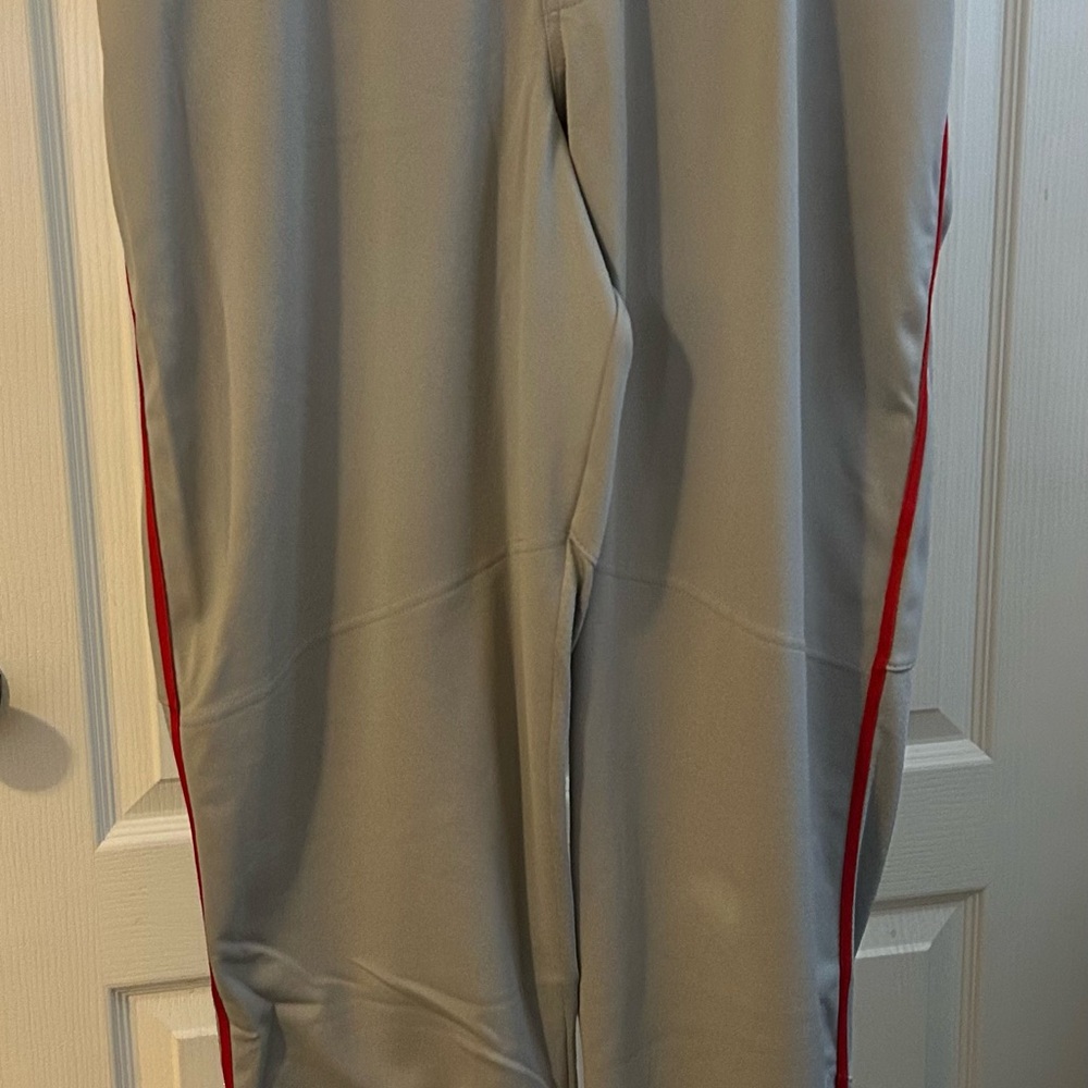 Nike Gray and Red Dress Pants with Sporty Stripe - Picture 2 of 4